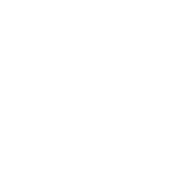 Use machine learning to build powerful models that can shape the future by revealing patterns in large amounts of data.